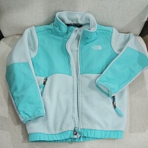 The North Face Aqua Fleece Jacket